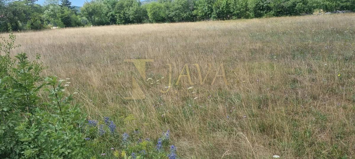 Terreno Soboli, Čavle, 3.500m2