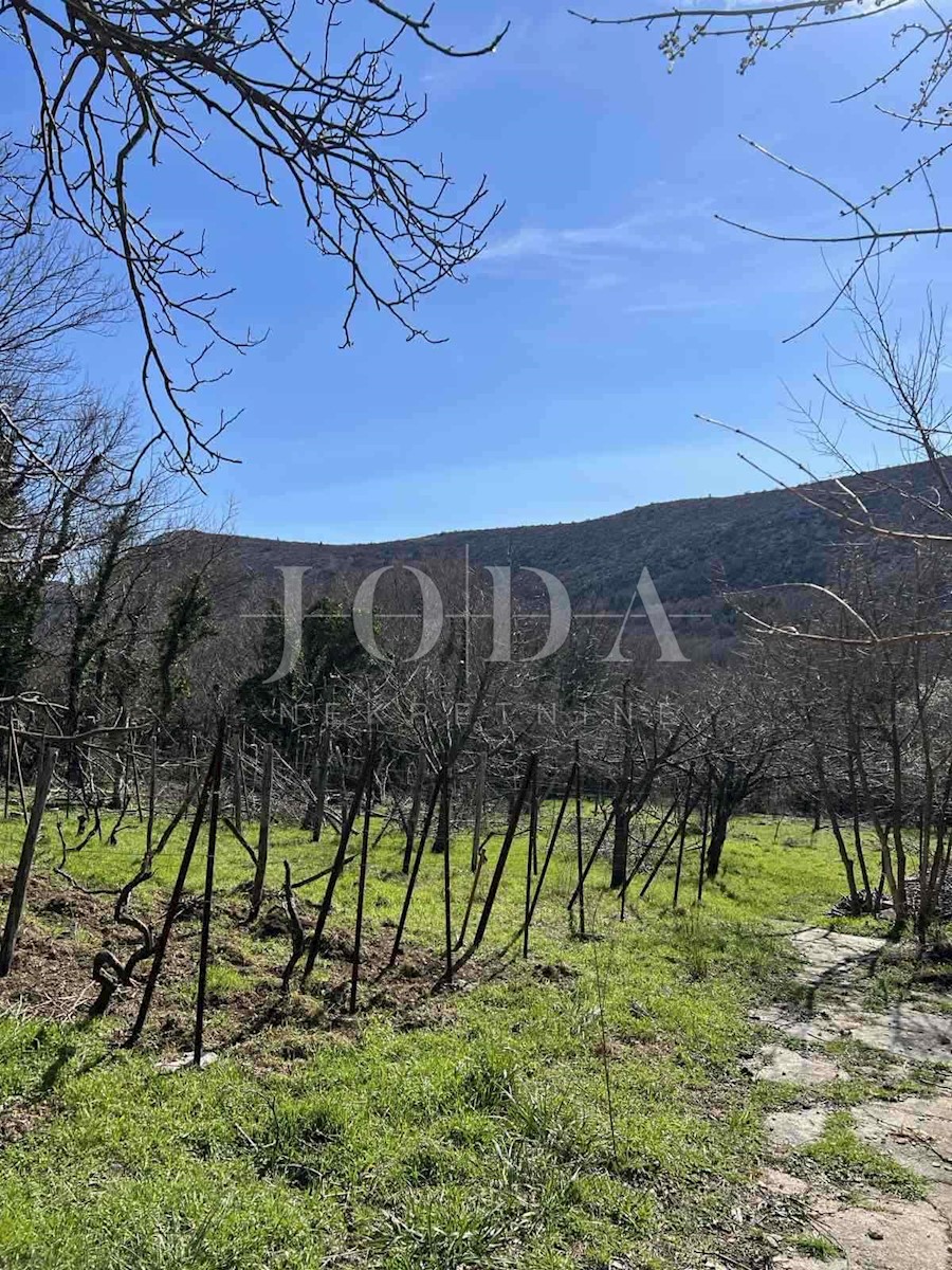 Casa spaziosa con giardino, potenziale di espansione e pronta per gli investimenti: il tuo rifugio ideale a Drivenik