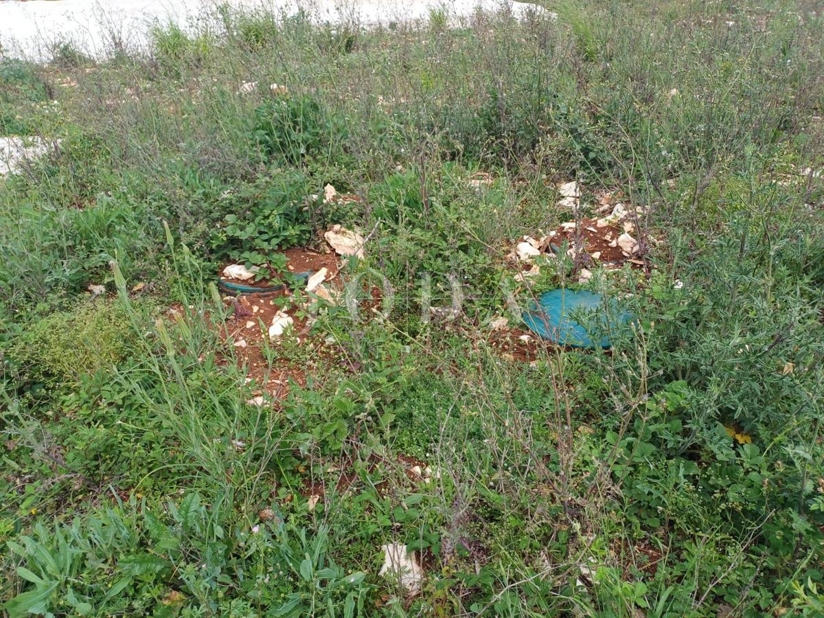 Terreno Barbariga, Vodnjan, 967m2