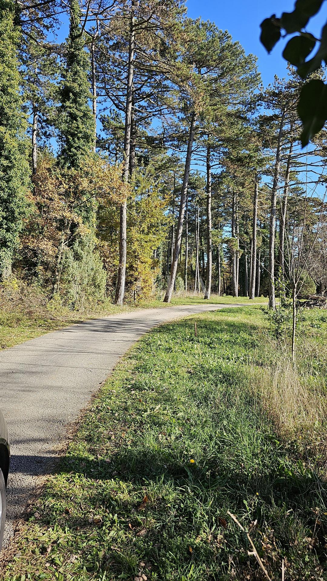 Terreno Labin, 2.446m2