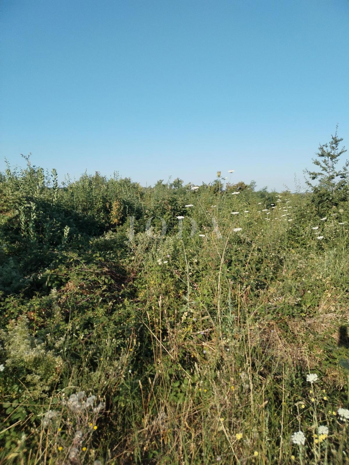 Terreno Labin, 2.355m2