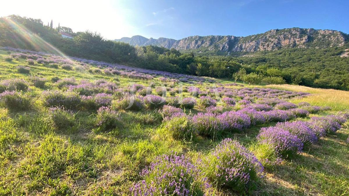 Terreno edificabile 1.250 m² con permesso e fondamenta – Bribir, vista mare