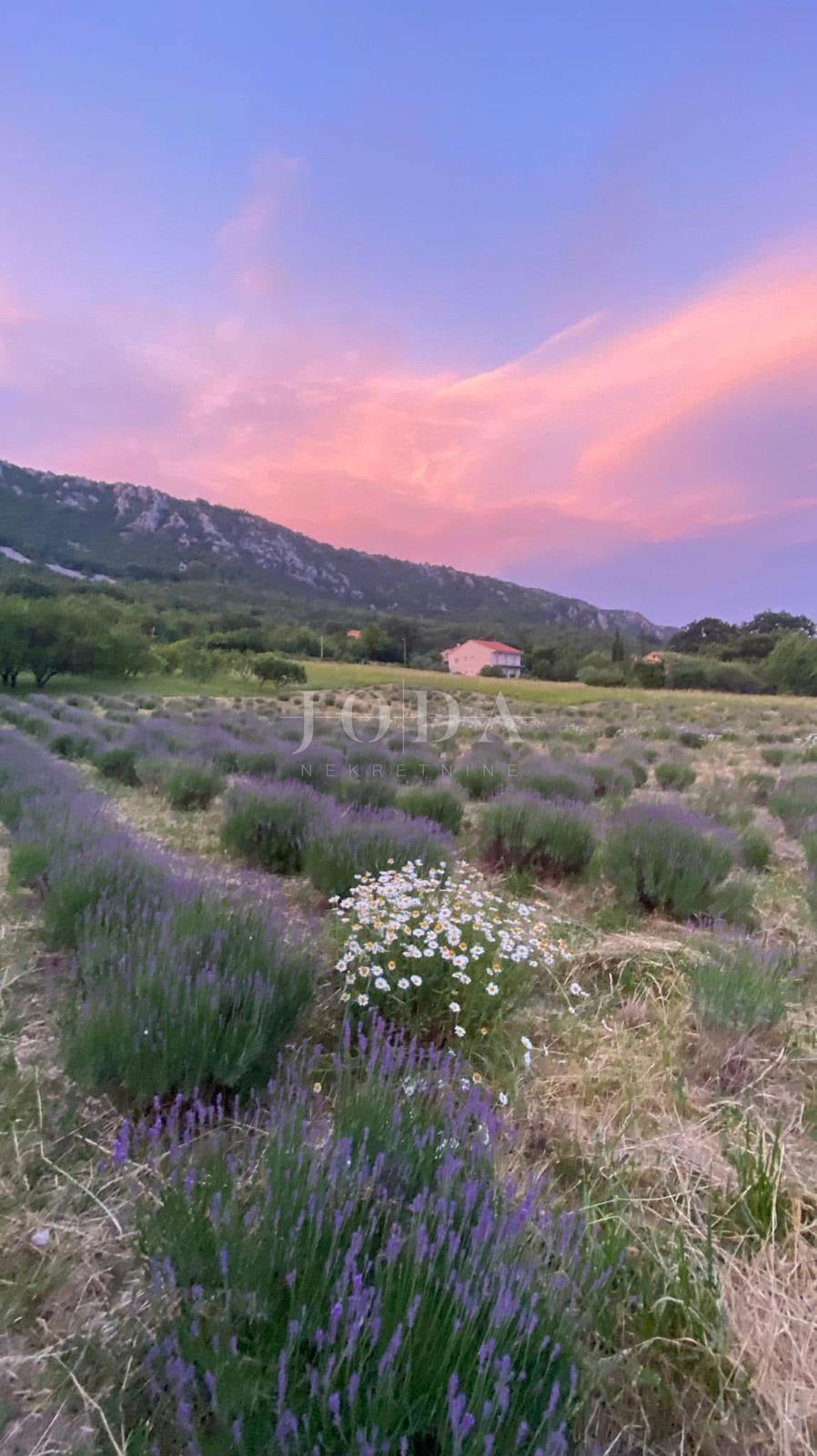 Terreno edificabile 1.250 m² con permesso e fondamenta – Bribir, vista mare