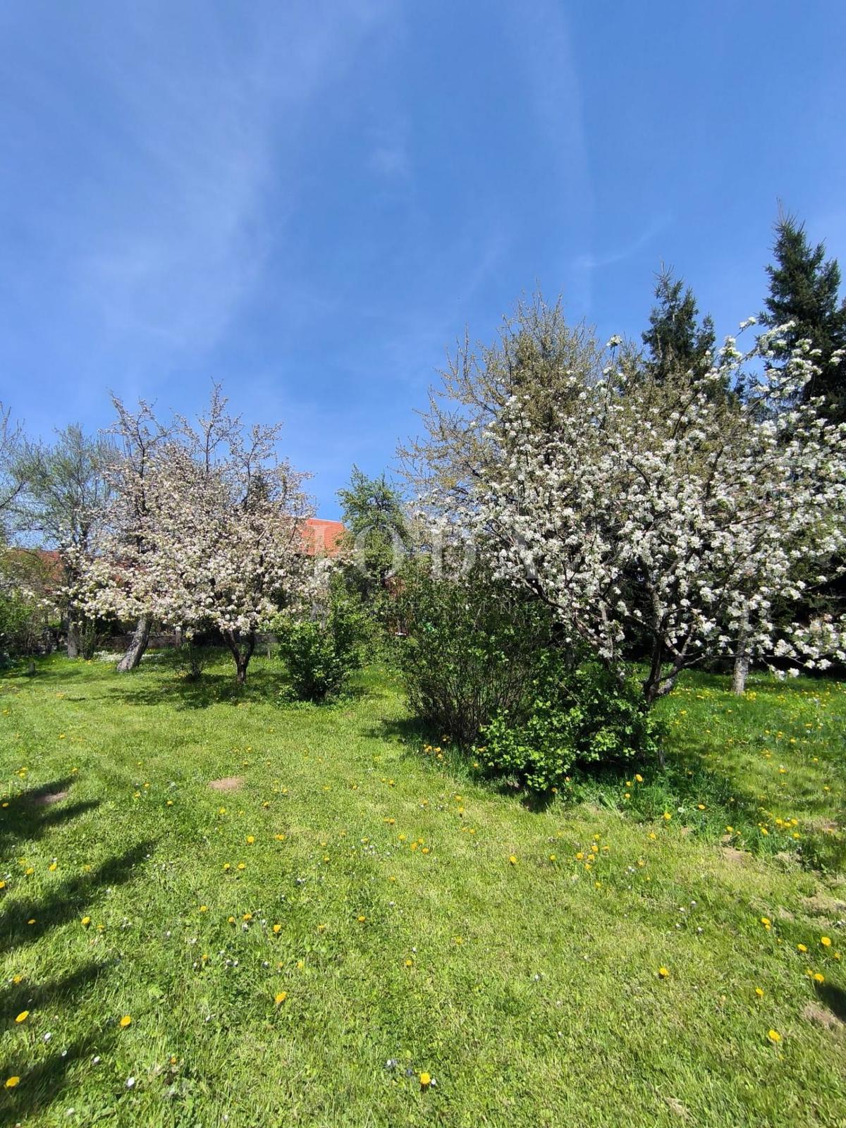 Casa Ravna Gora, 119m2