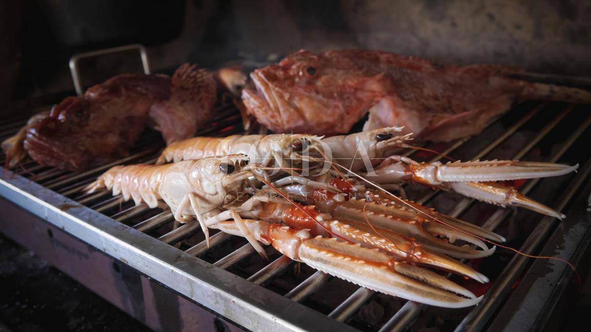 Casa Svetvinčenat, 440m2