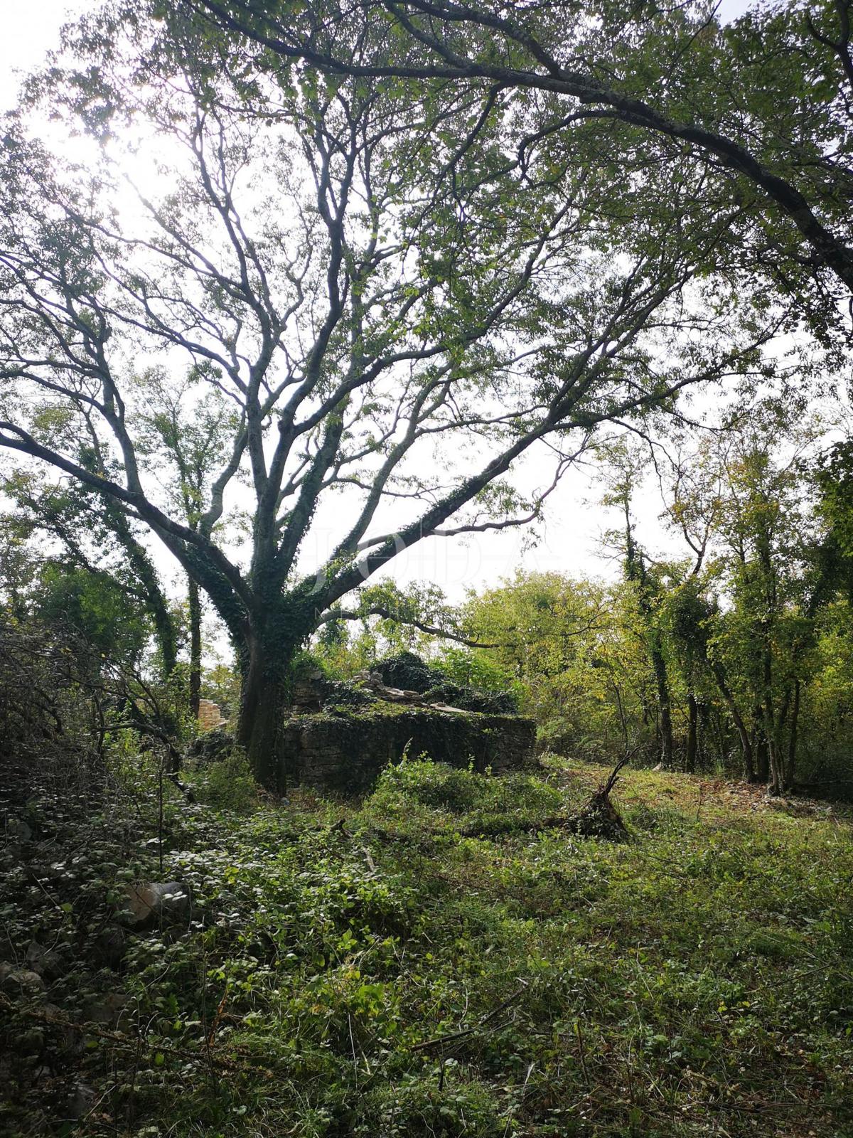 Terreno Grožnjan, 902m2