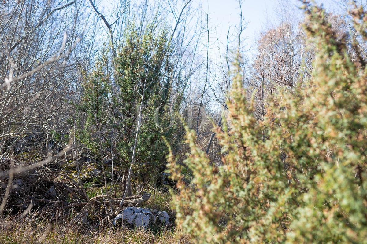 Ampio terreno non urbanizzato vicino alla città di Krk!