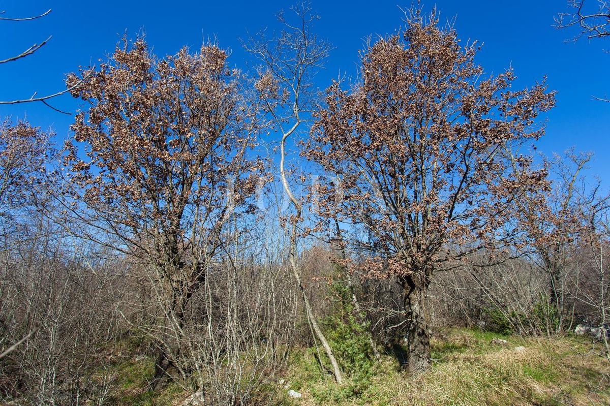 Ampio terreno non urbanizzato vicino alla città di Krk!