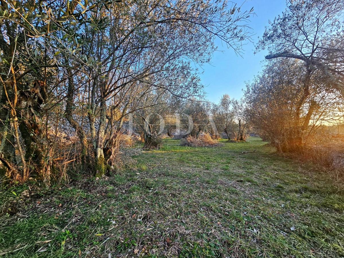 Terreno edificabile con vista mare parziale