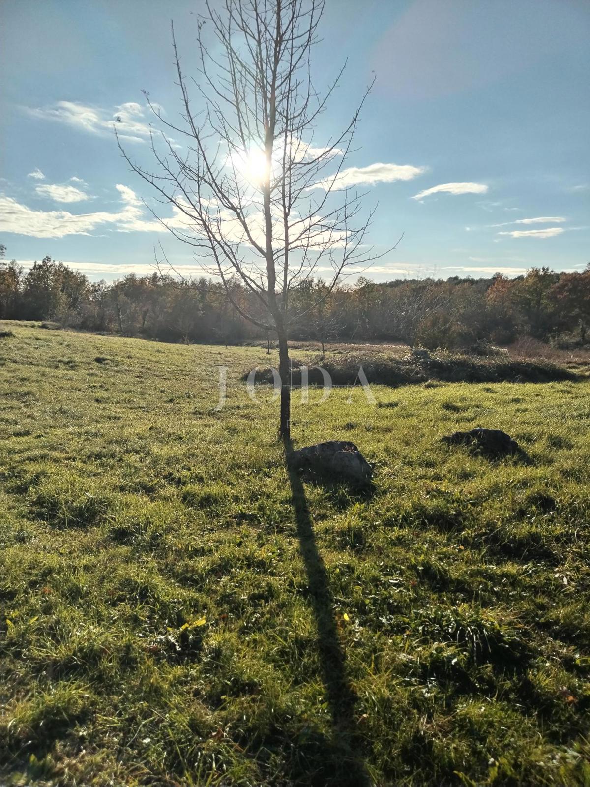 Terreno Labin, 3.951m2