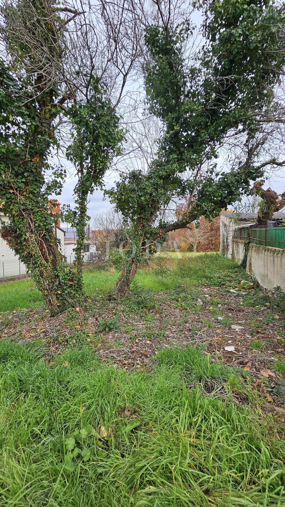 Terreno Brtonigla, 517m2