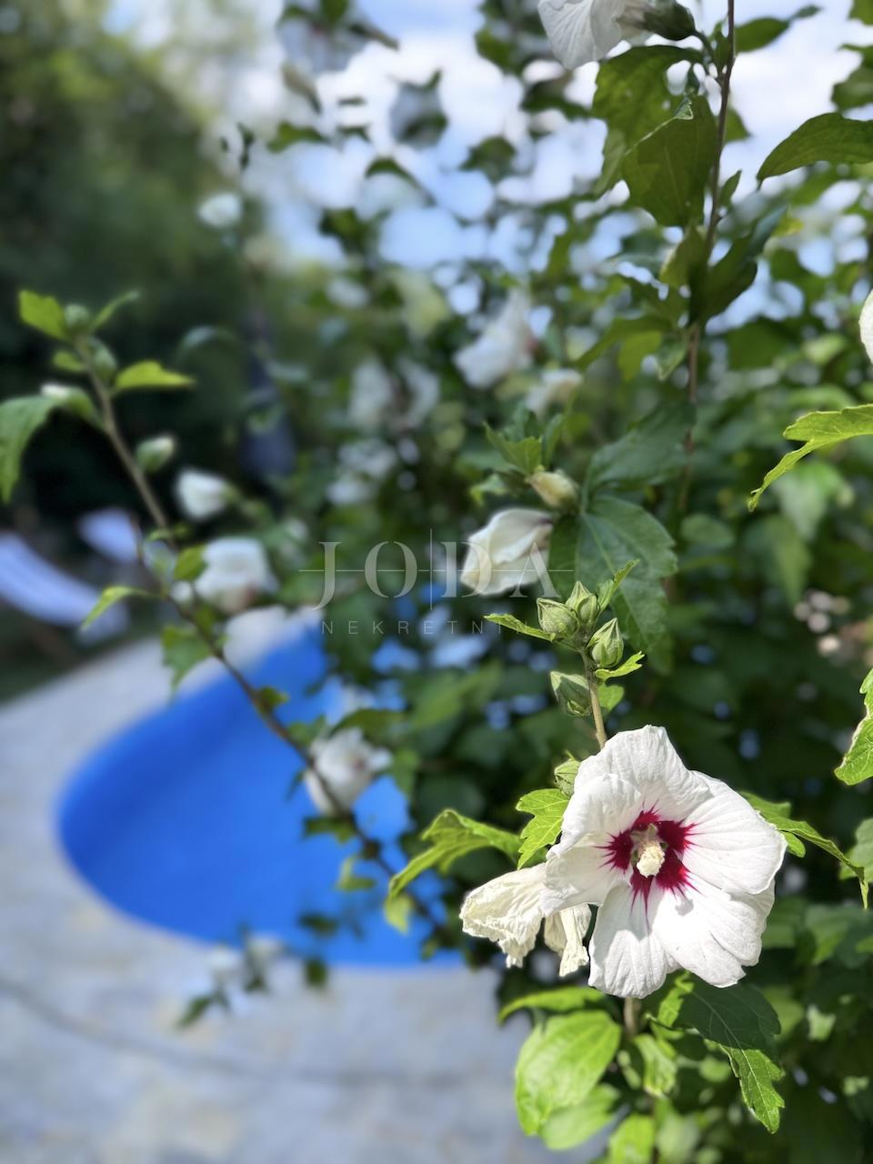 Grižane – Proprietà con due case in pietra e terreno