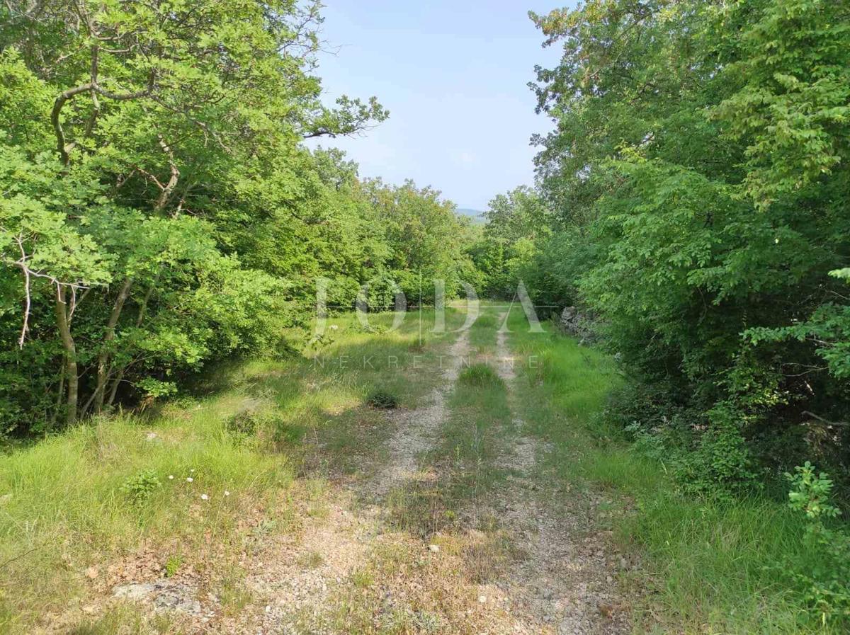 Agricultural land in a great location - potential!