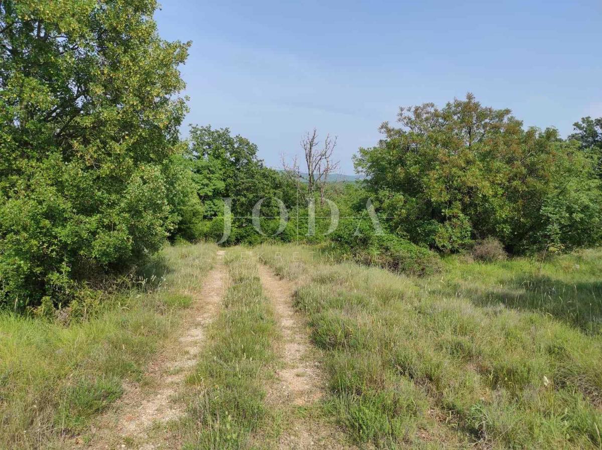 Agricultural land in a great location - potential!