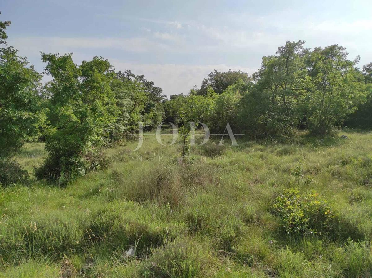 Agricultural land in a great location - potential!