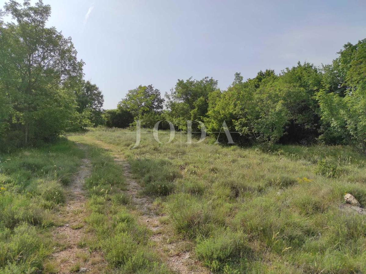 Agricultural land in a great location - potential!