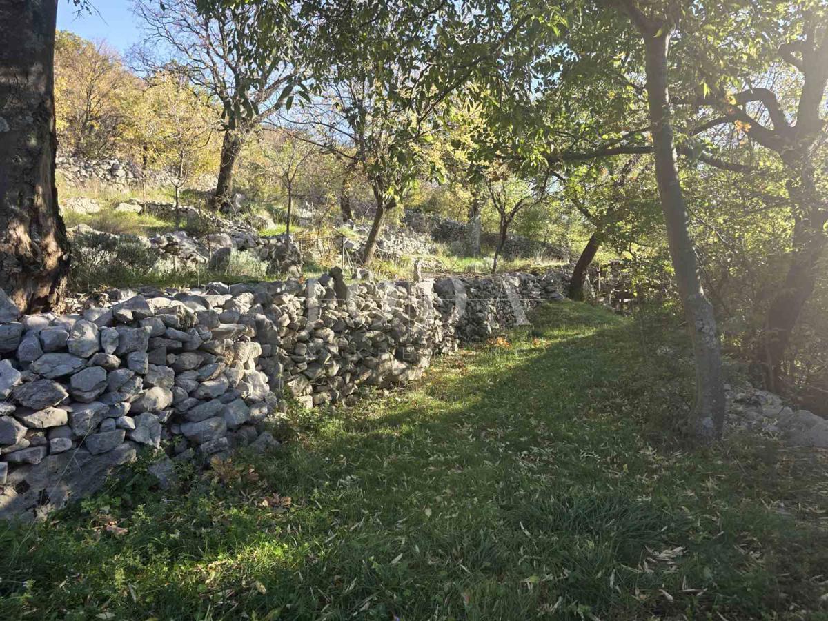 Casa Ledenice, Novi Vinodolski, 212m2