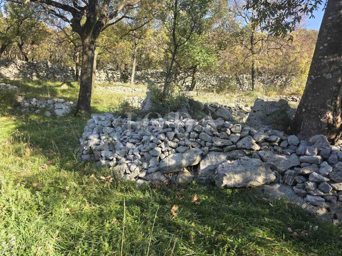 Casa Ledenice, Novi Vinodolski, 212m2