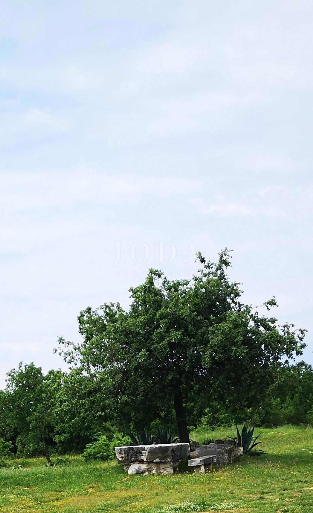 Casa Tar, Tar-Vabriga, 321,48m2