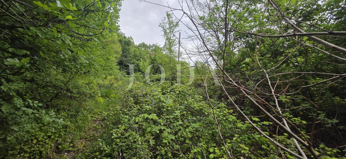 Casa in pietra con vista mare + terreno 1.400 m² | Baretići, Grižane