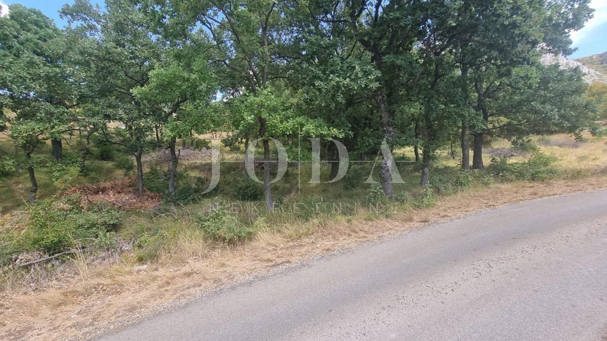 Terreno Bribir, Vinodolska Općina, 11.900m2