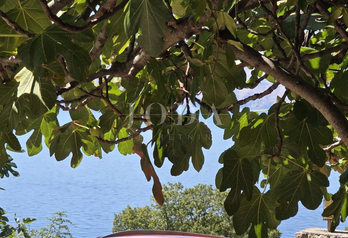 Novi Vinodolski, Smokvica Krmpotska, casa con due appartamenti