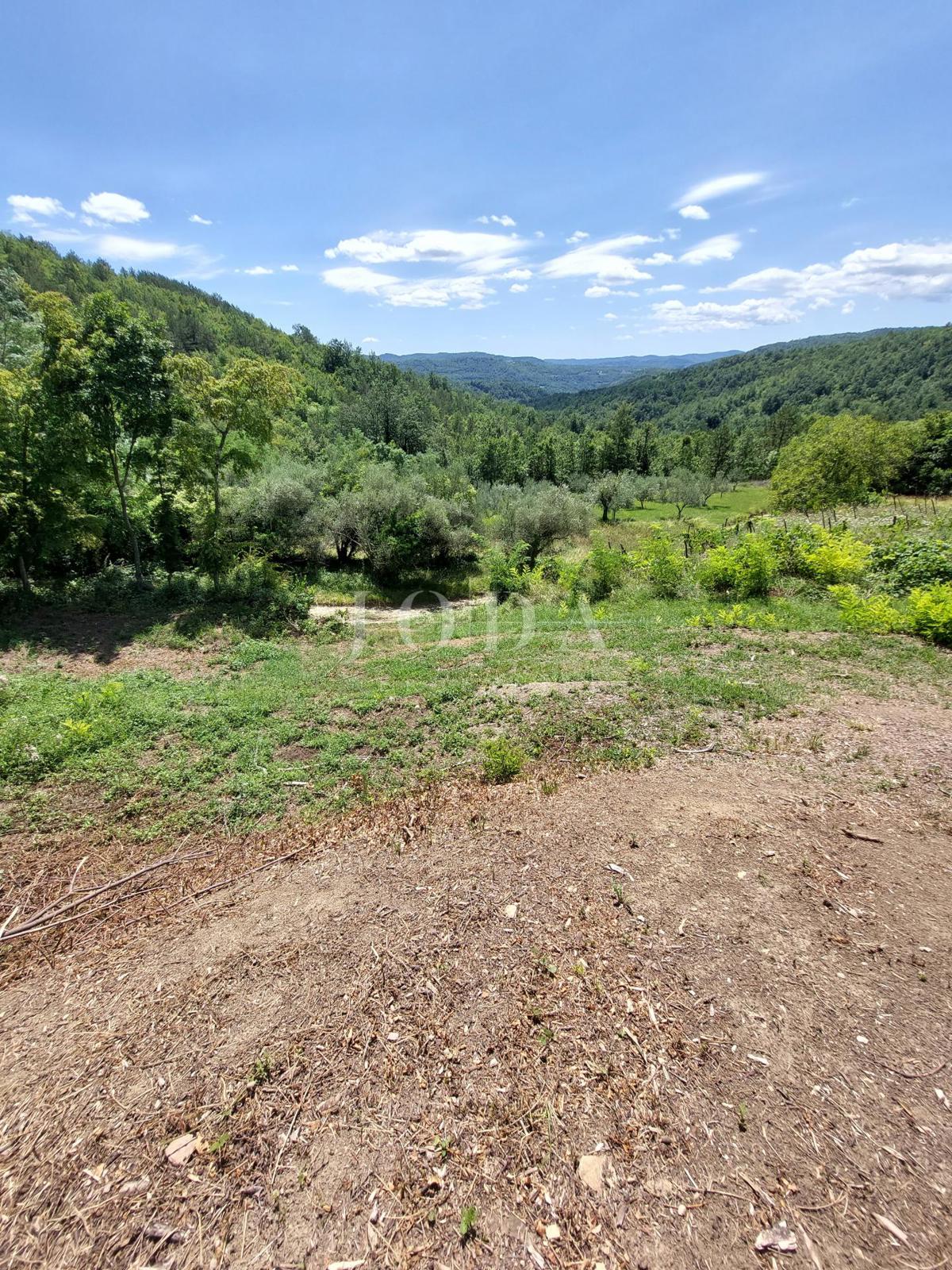 Casa andTerreno Buzet, 1.706m2