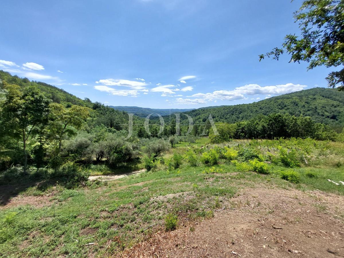 Casa andTerreno Buzet, 1.706m2
