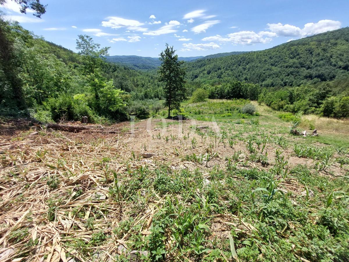 Casa andTerreno Buzet, 1.706m2