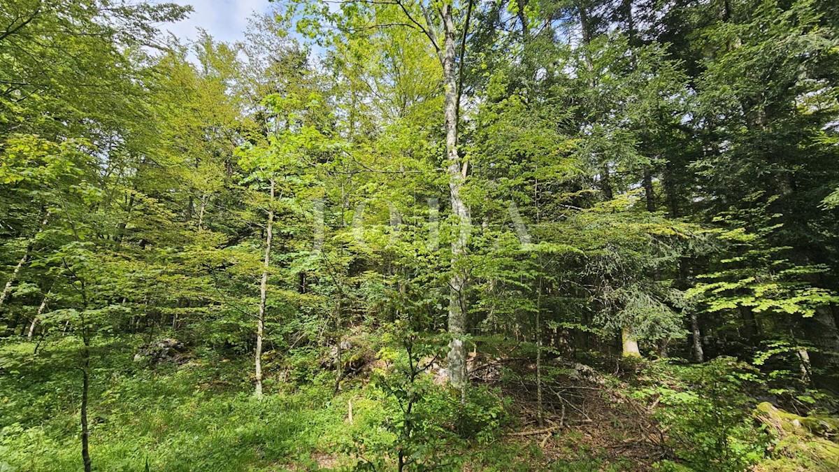 Terreno Bribir, Vinodolska Općina, 2.640m2