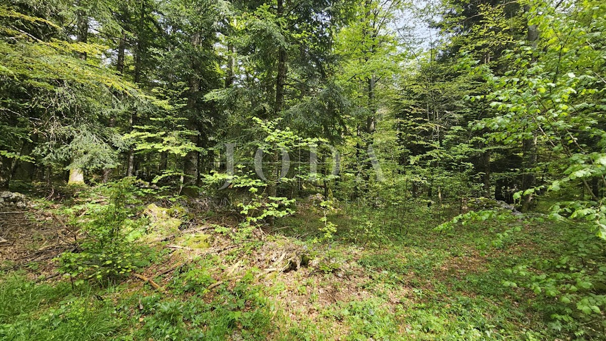 Terreno Bribir, Vinodolska Općina, 2.640m2