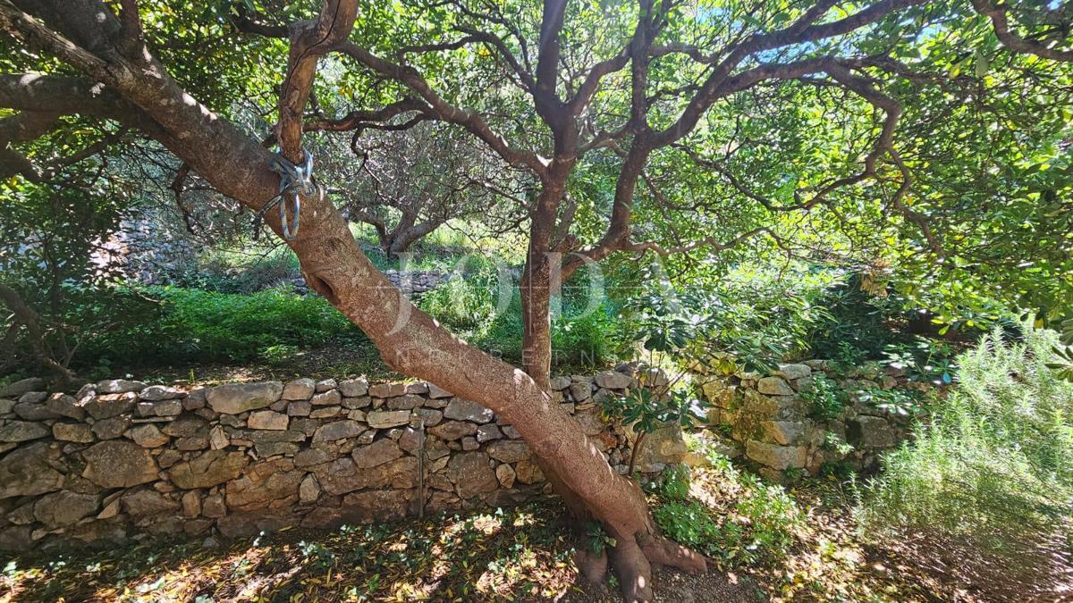 Casa Sveti Juraj, Senj, 100m2