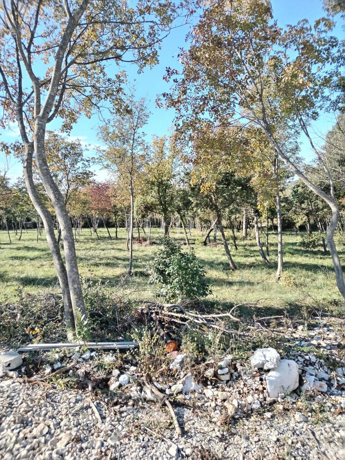 Terreno Barban, 1.247m2