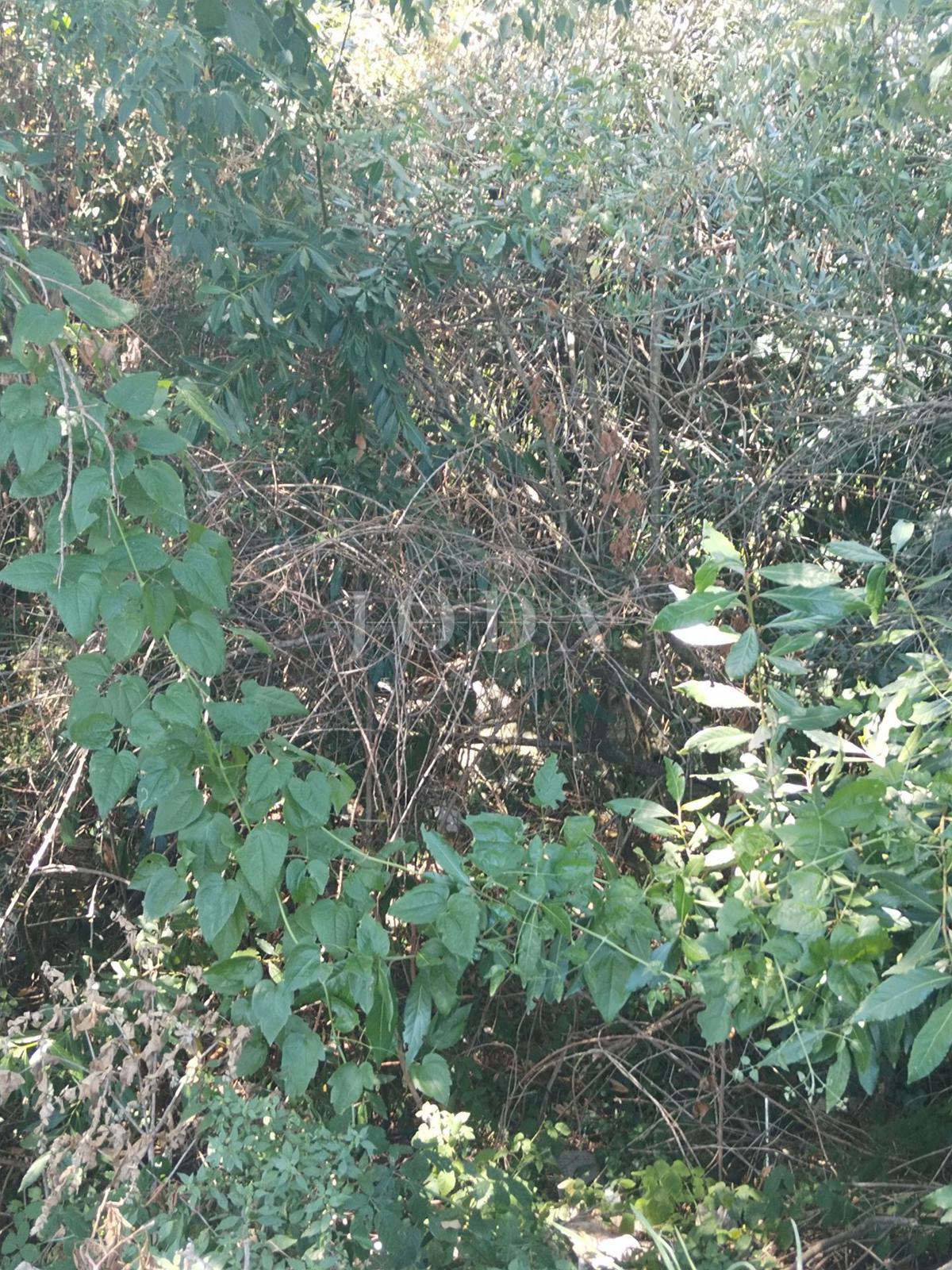 Terreno Plomin, Kršan, 1.018m2