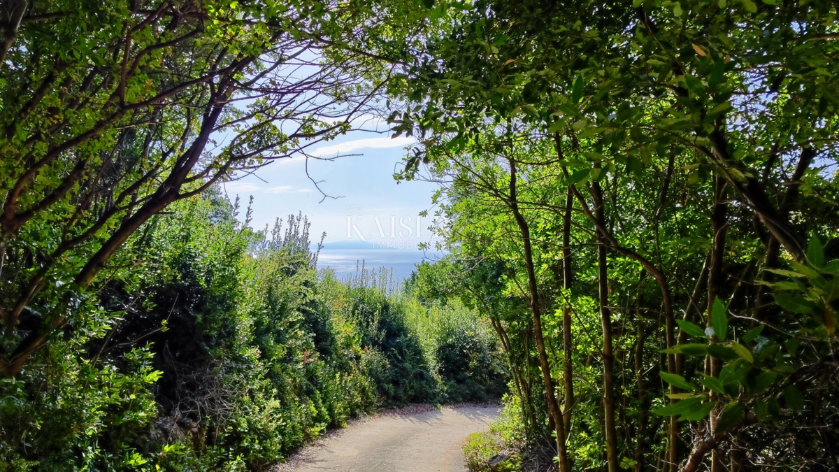 Labin - sensazionale vista sul mare, 1800 m2