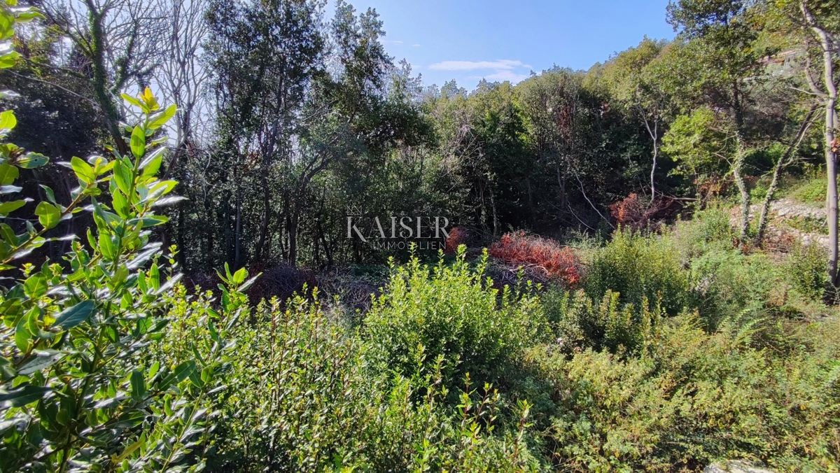Labin - sensazionale vista sul mare, 1800 m2