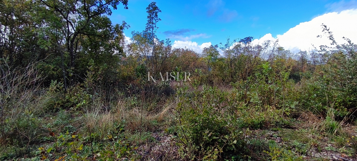 Istria, Albona - terreno edificabile non lontano dal mare, 5.600 m2