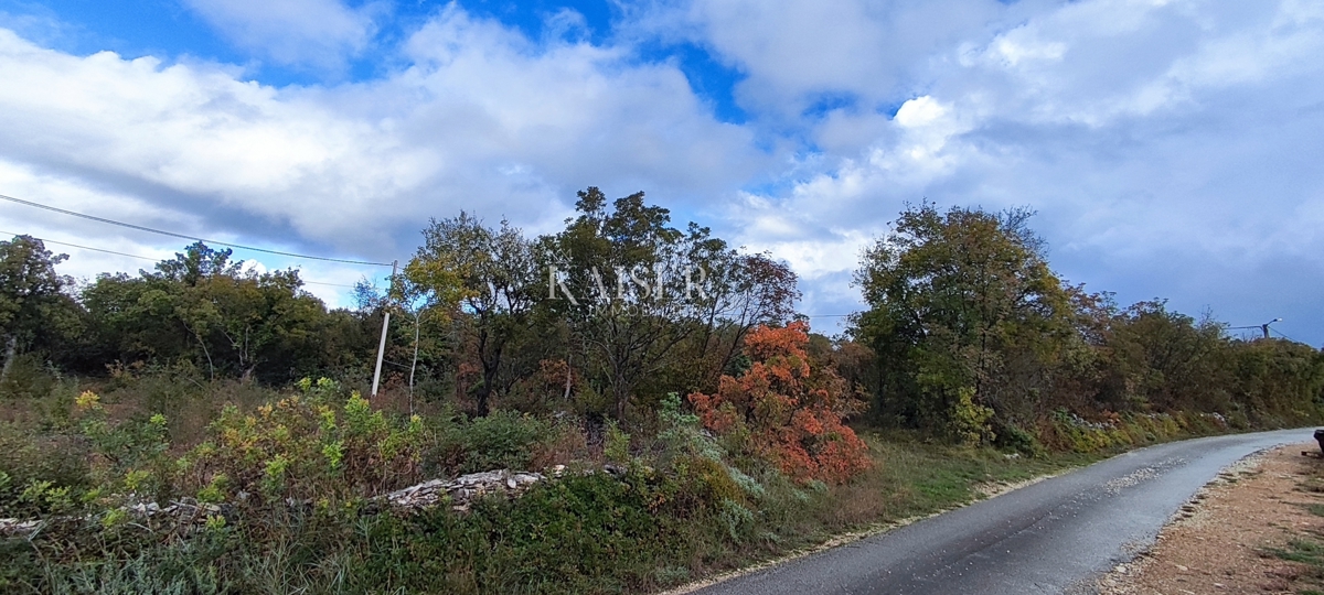 Istria, Albona - terreno edificabile non lontano dal mare, 5.600 m2
