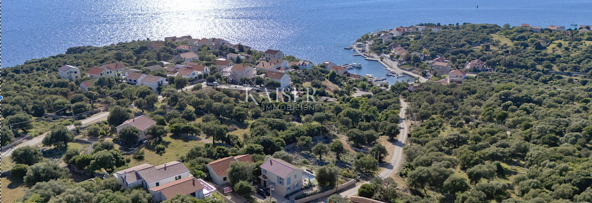 Isola di Pag, terreno con concessione edilizia in uliveto secolare, vista mare