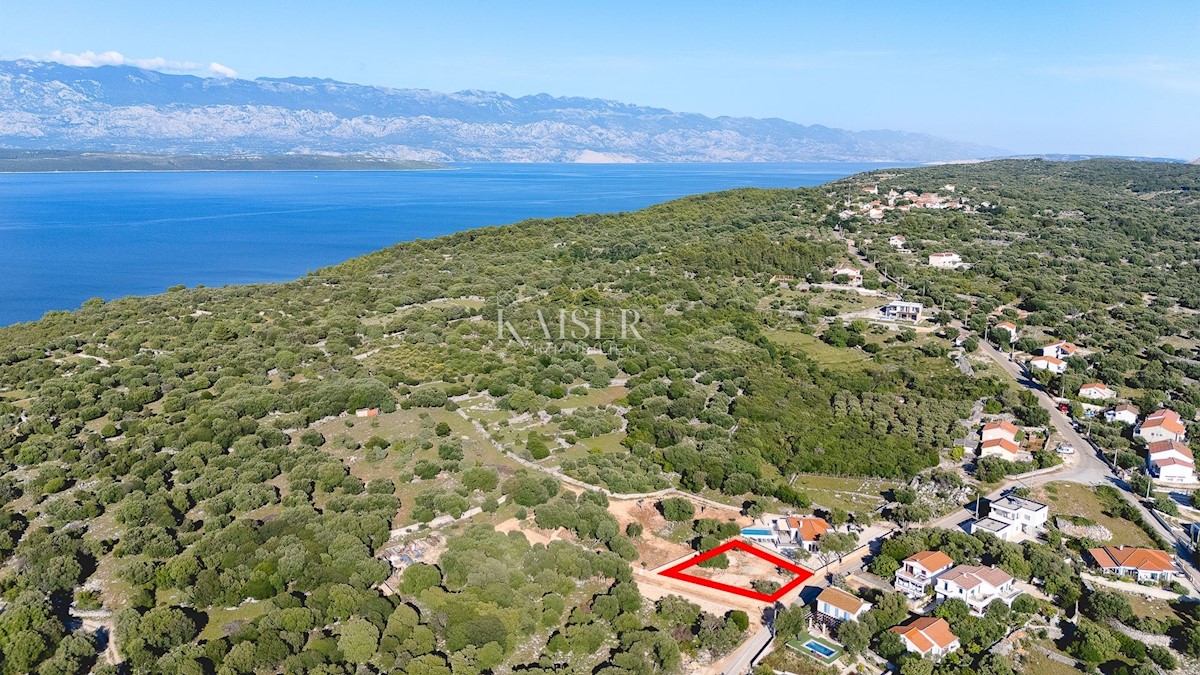 Isola di Pag, terreno con concessione edilizia in uliveto secolare, vista mare