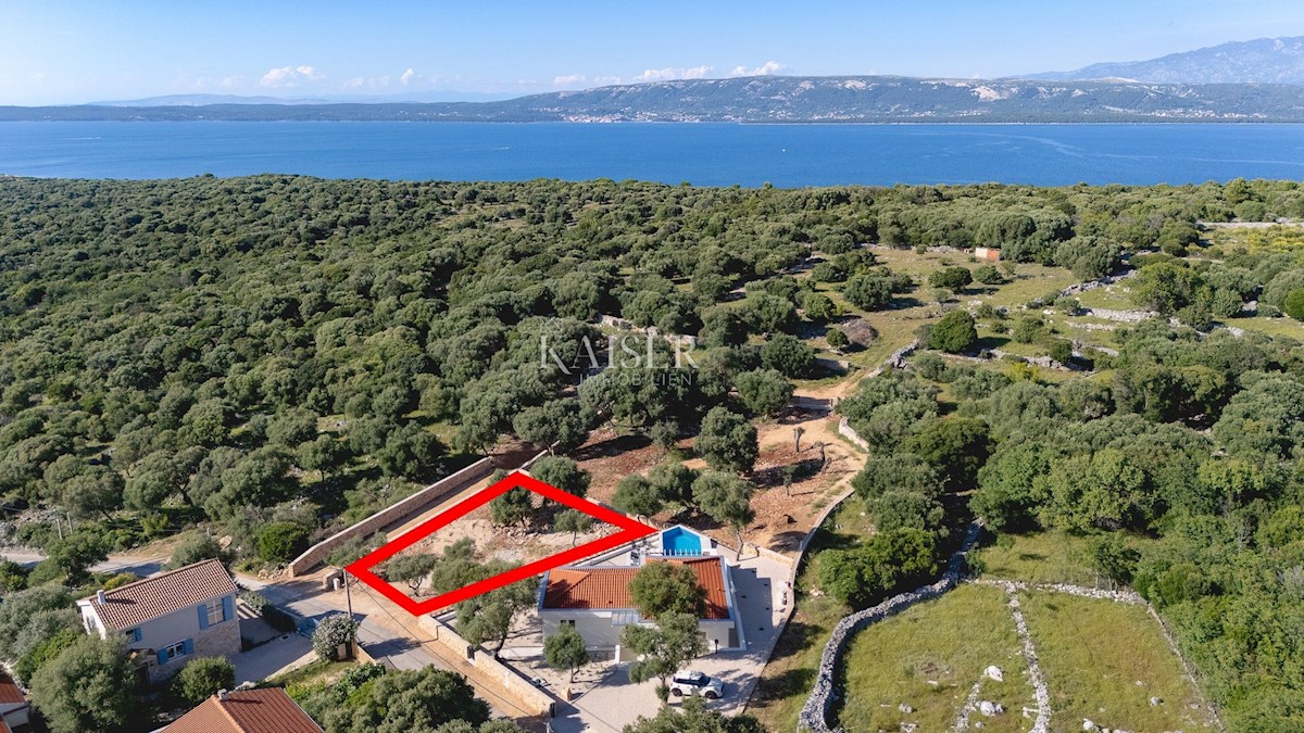 Isola di Pag, terreno con concessione edilizia in uliveto secolare, vista mare