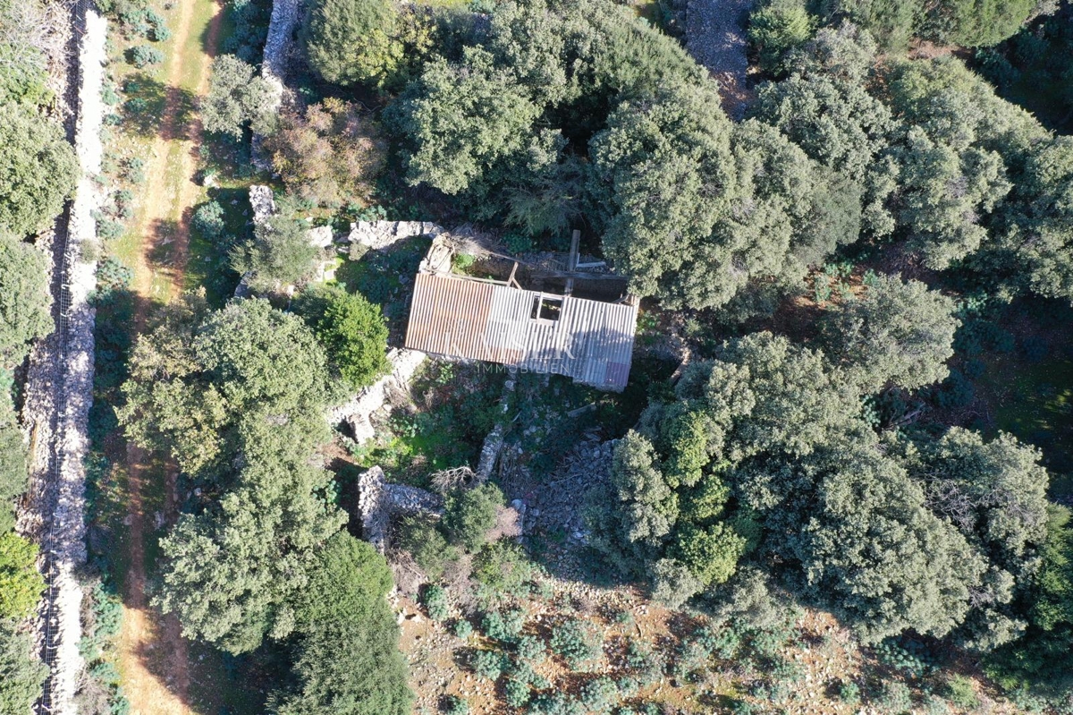 Terreni agricoli Belej, Mali Lošinj, 2.261m2