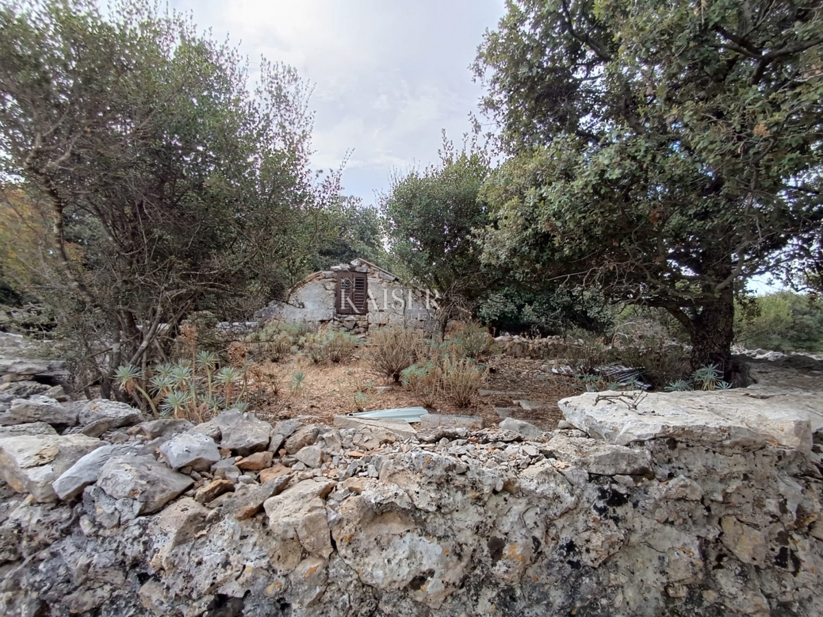 Terreni agricoli Belej, Mali Lošinj, 2.261m2