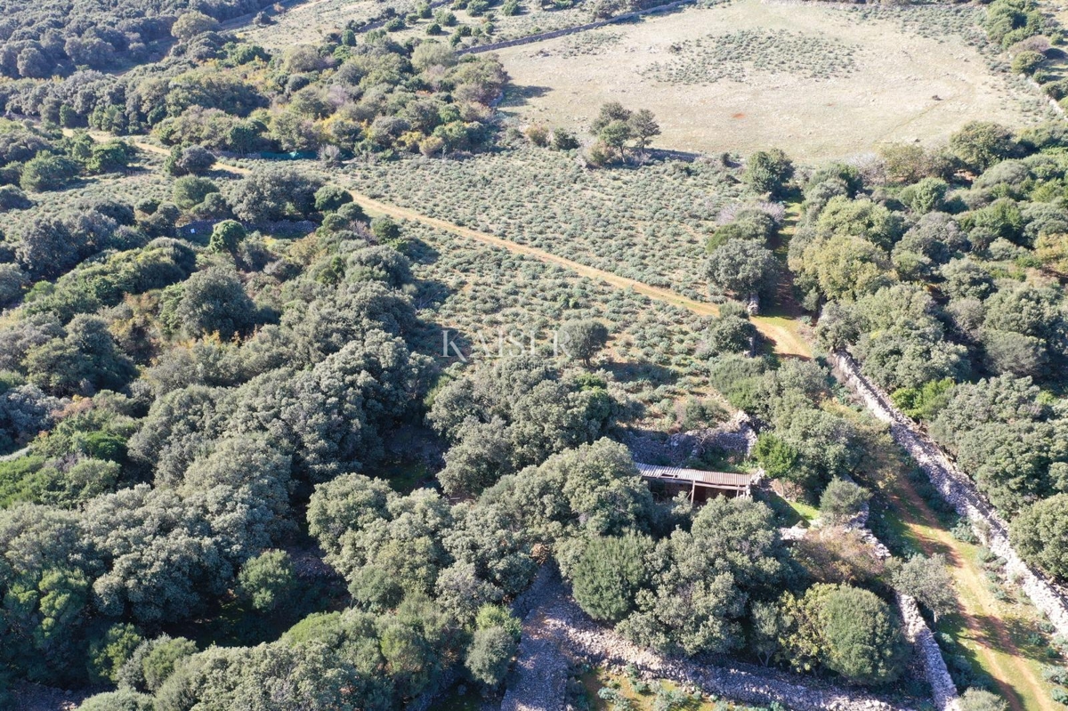 Terreni agricoli Belej, Mali Lošinj, 2.261m2