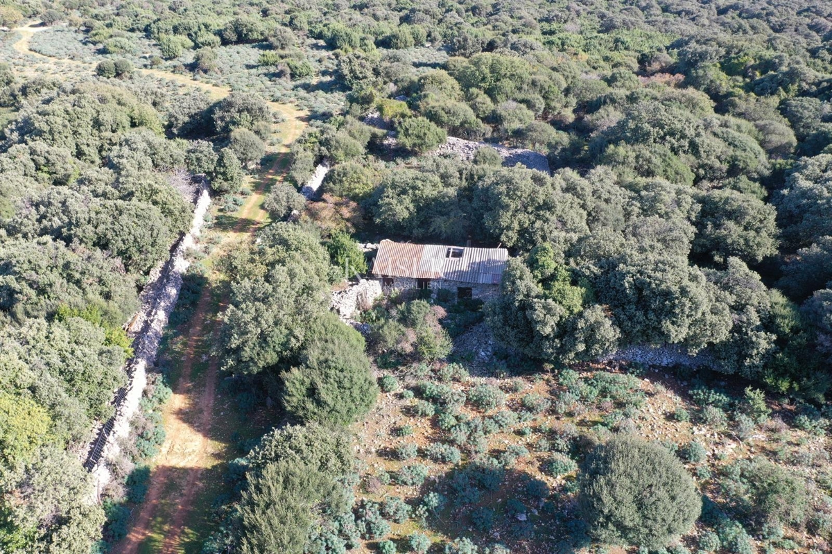 Terreni agricoli Belej, Mali Lošinj, 2.261m2