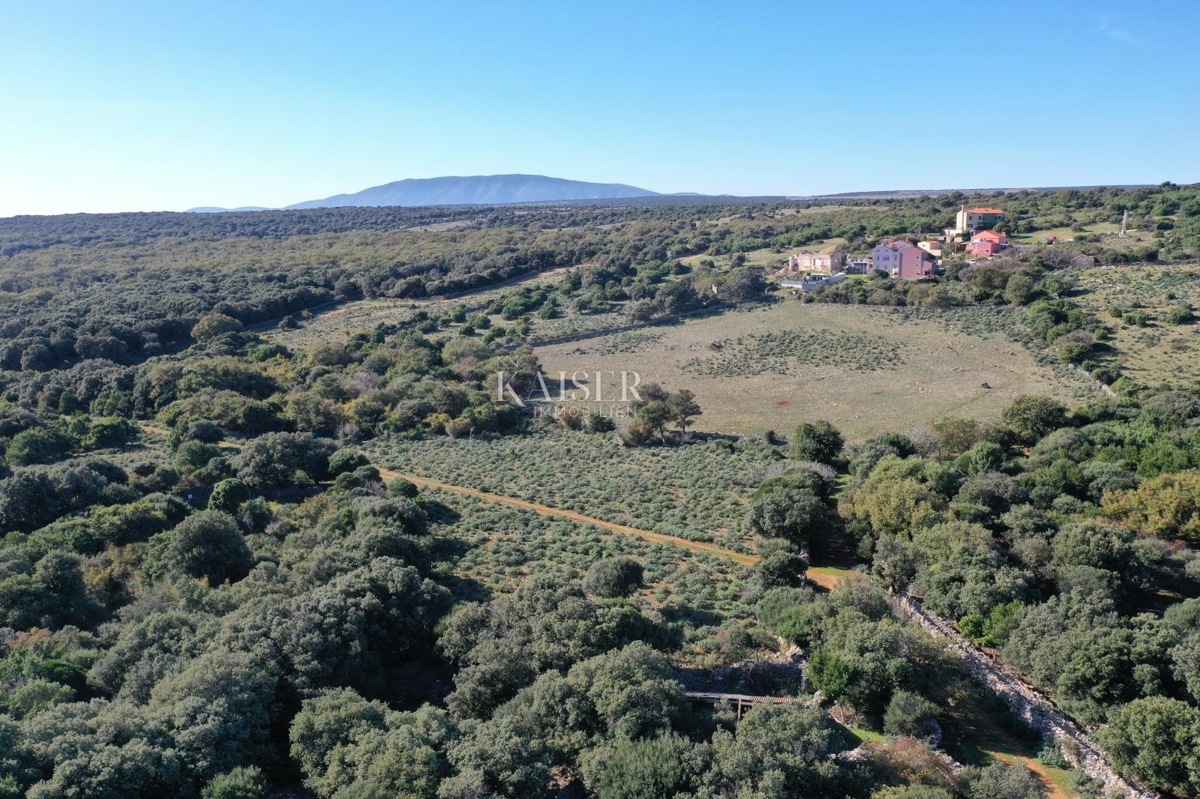 Terreni agricoli Belej, Mali Lošinj, 2.261m2