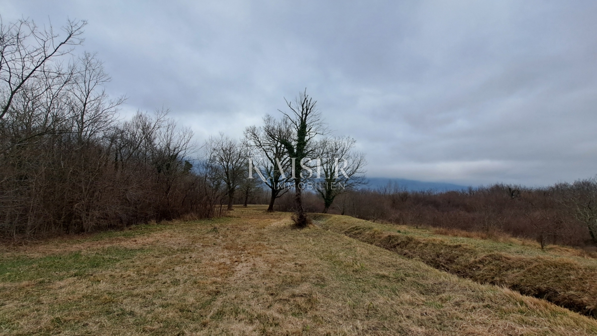 Земля під забудову Šušnjevica, Kršan, 2.669m2
