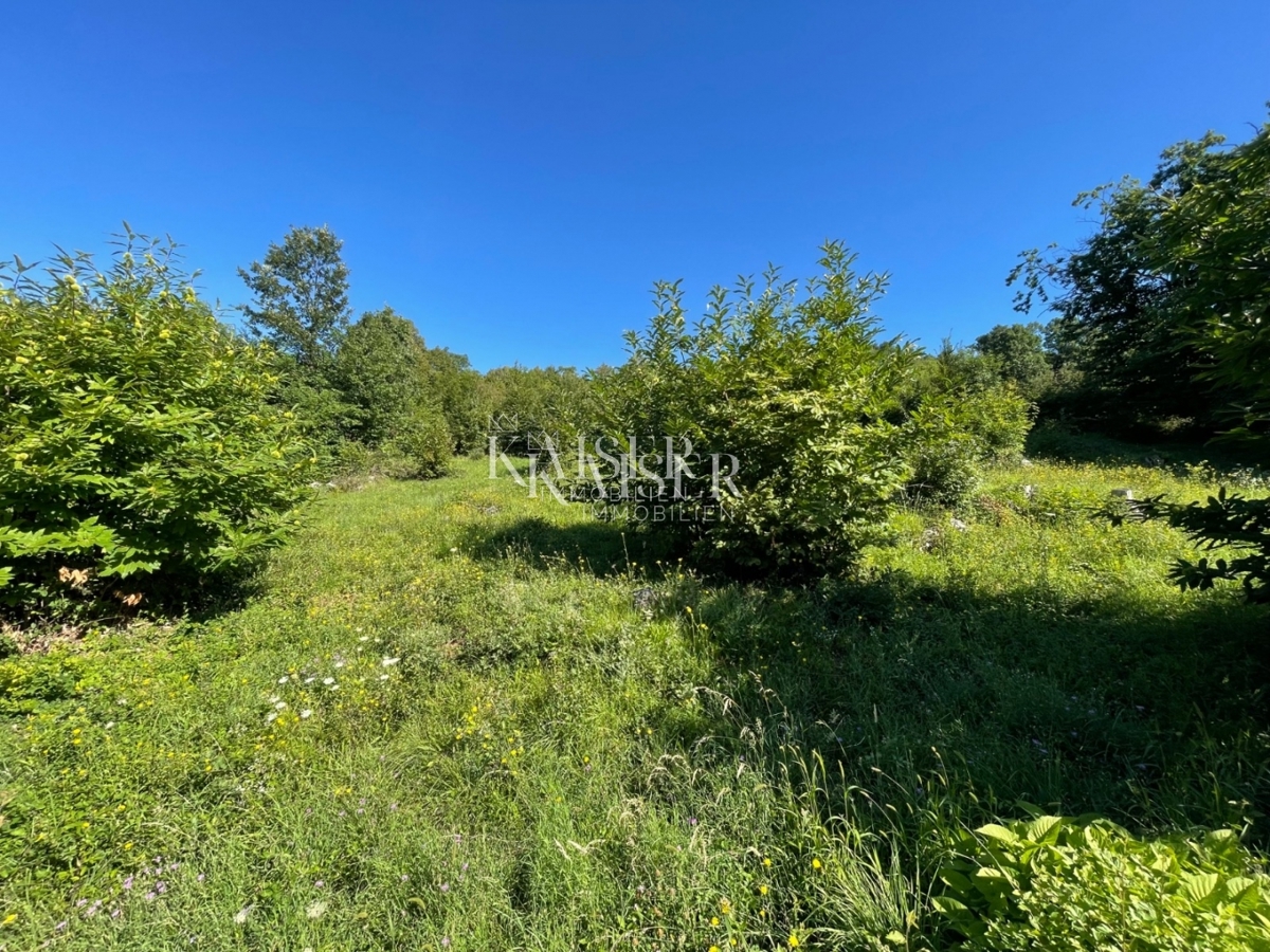 Земля під забудову Veprinac, Opatija - Okolica, 1.038m2