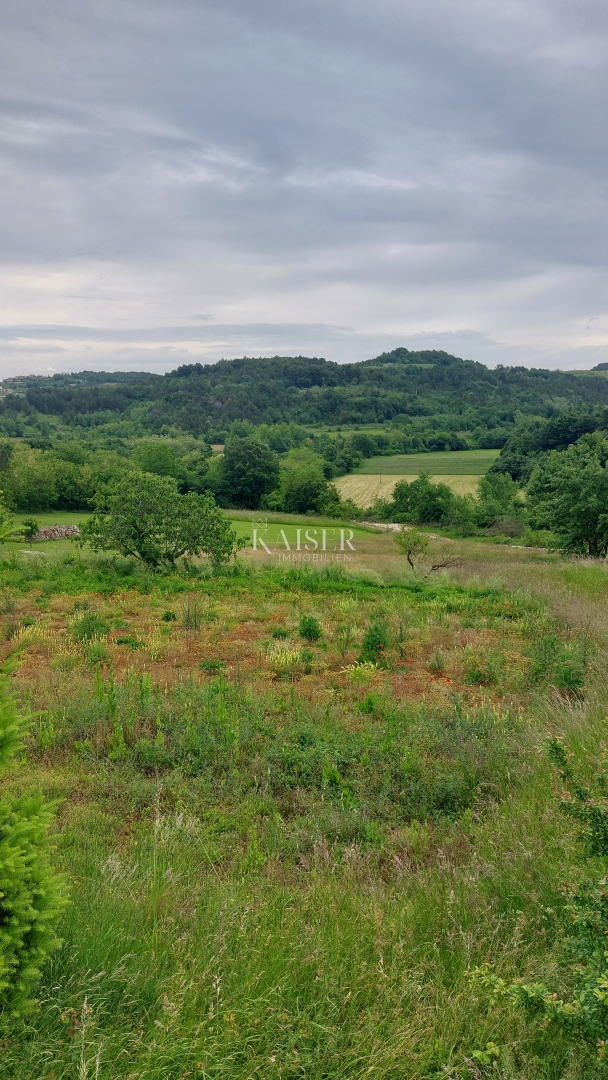 Istria, Cittanova - terreno edificabile, 1100 m2