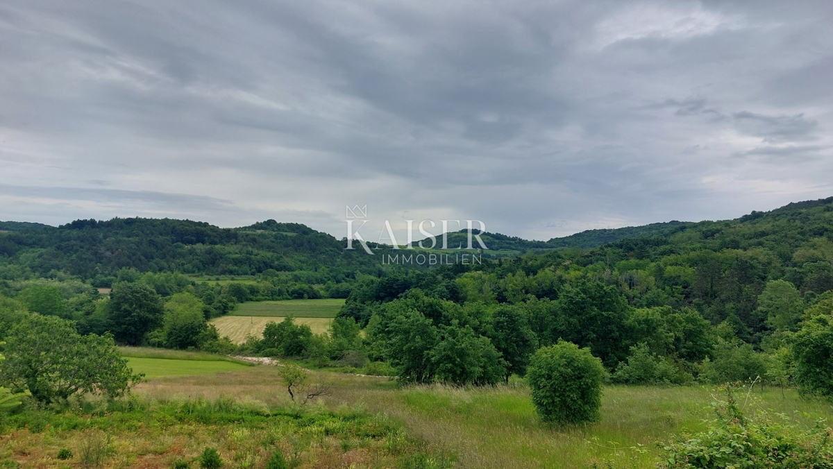 Istria, Cittanova - terreno edificabile, 1100 m2